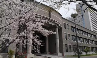 我只在乎你日语版 我只在乎你日语版